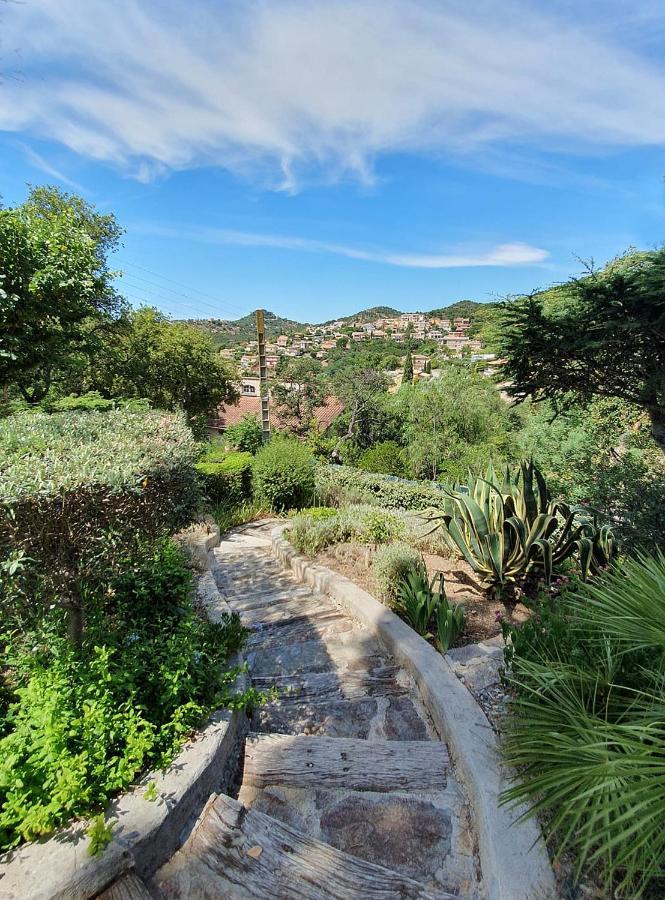 Appartements Dans Villa En Rez De Jardin Hyères Екстериор снимка