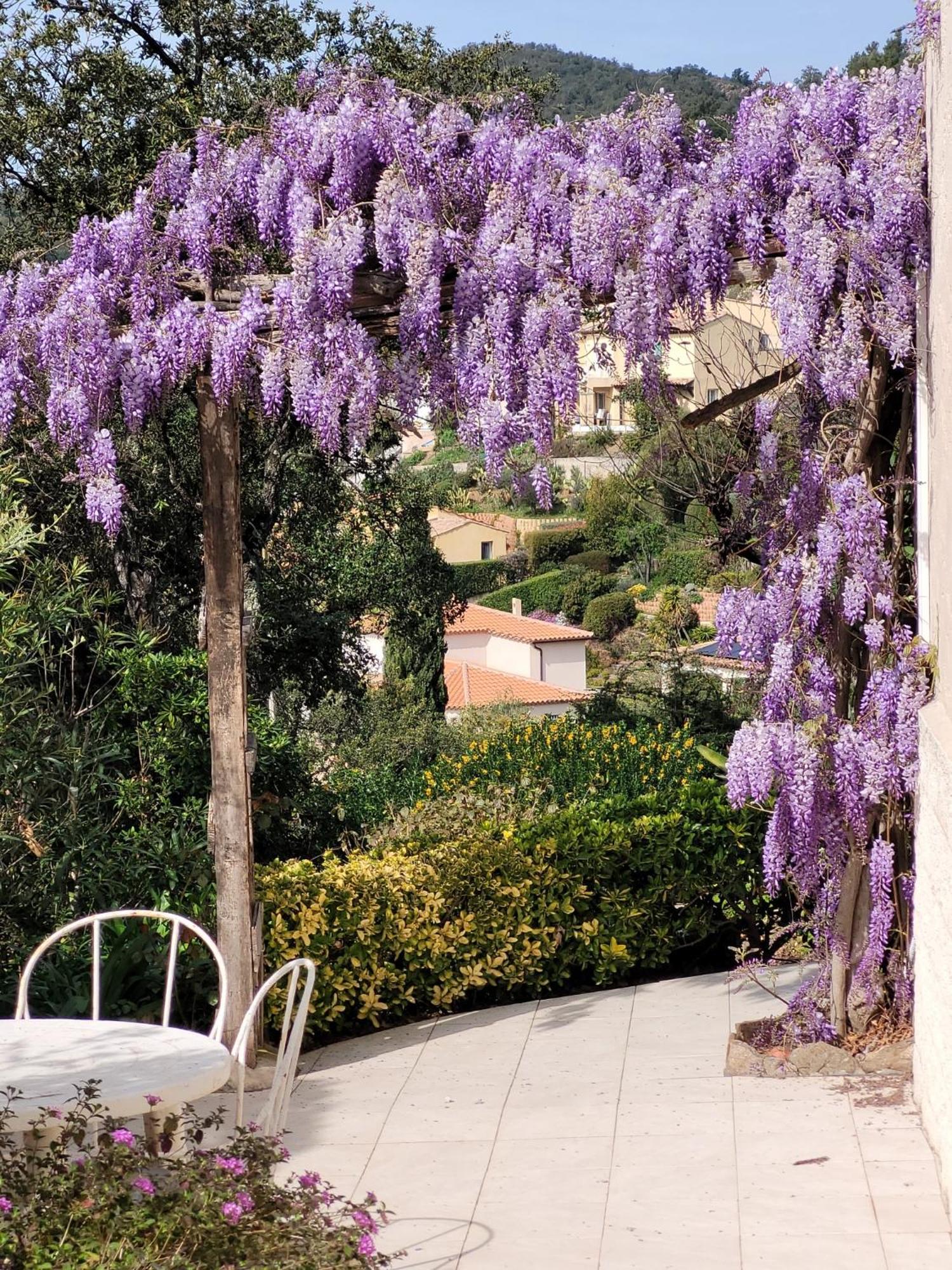 Appartements Dans Villa En Rez De Jardin Hyères Екстериор снимка